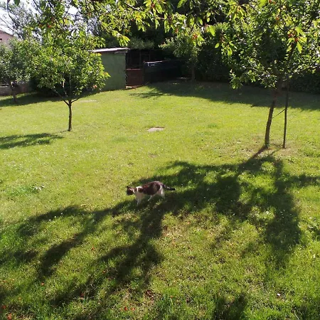 Appartement Labin 3 *